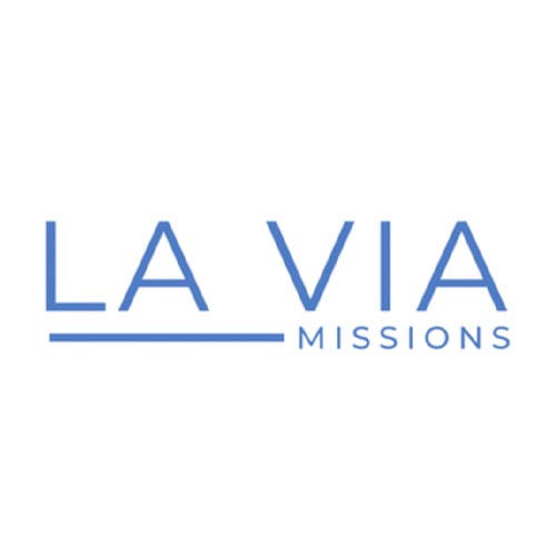 logo-lavia-500